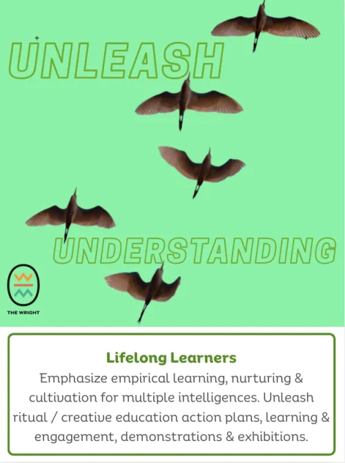 Unleash Understanding
